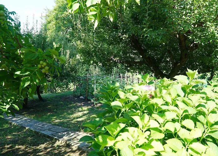 The Cottage In The Trees