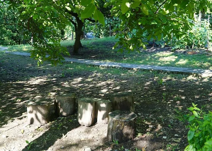 The Cottage In The Trees