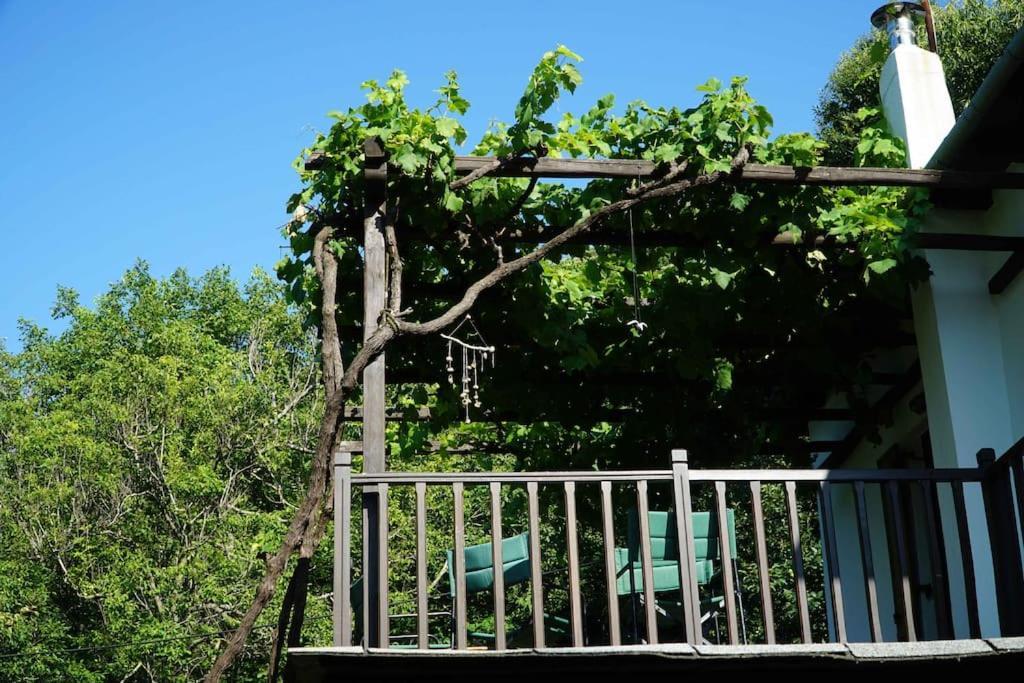 度假居 The In The Trees Tsangarada